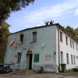 Trzebież